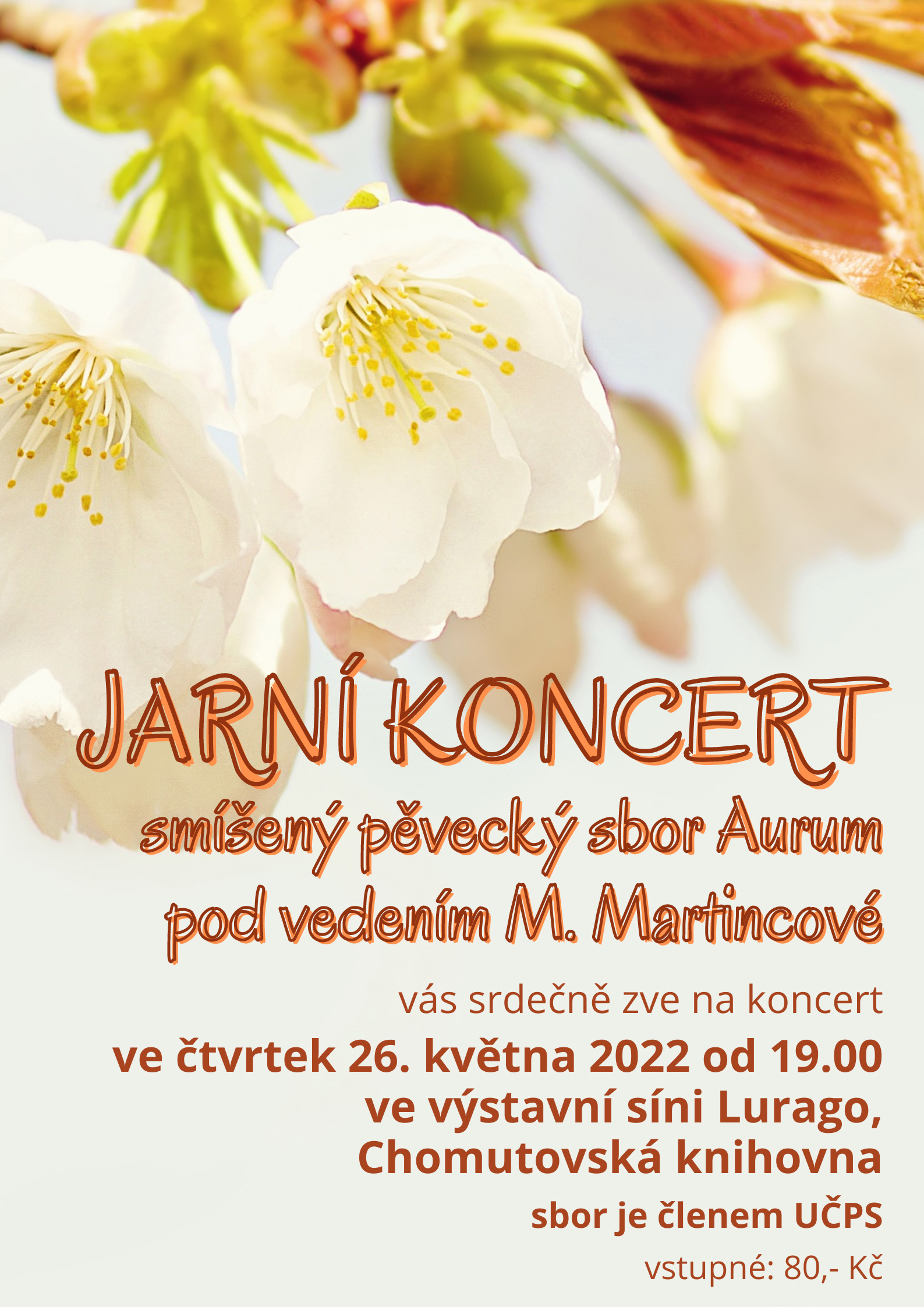 Jarní koncert Aurum web (002)