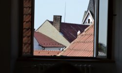 _DSC6389