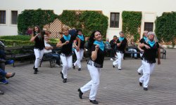 IMG_4229