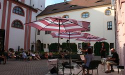IMG_6291