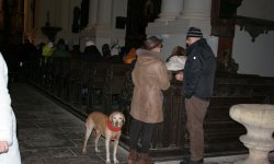IMG_9520