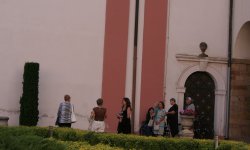 IMG_9764
