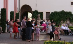 IMG_9774