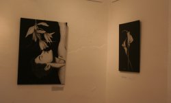 IMG_9861