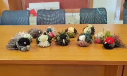 IMG_20250923_173154